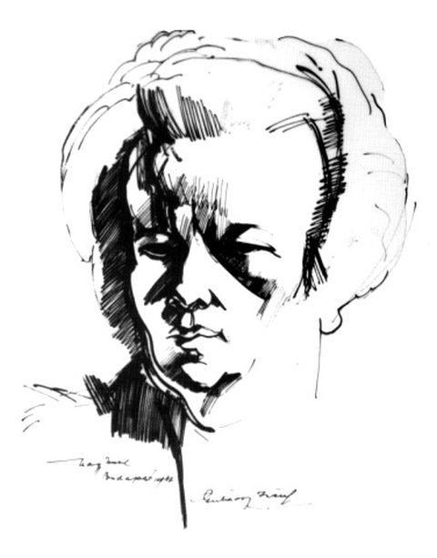 vizivarosiostrom14